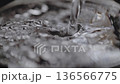 Super slow motion video: Close-up of pouring water into a glass 136566775