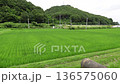 田園を行くこまち 136575060