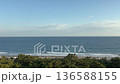 Stock video footage of the Pacific coastline scenery with the beautiful blue sea and lush pine forest in Kamogawa City, Chiba Prefecture 136588155