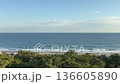 A beautiful landscape with a contrast between the lush pine forest and the blue sea along the coast overlooking the Pacific Ocean in Kamogawa City, Chiba Prefecture 136605890