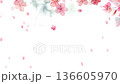 Watercolor cherry blossom animation material. Japanese style. Spring background. 136605970
