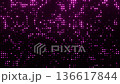 Seamless Loop Animation of Glittering Pink Lights on Black Background 136617844