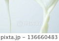Macro texture of milk flowing in slow motion on white background, cooking milky background. 136660483