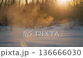 晨曦中，白色蒸氣漸漸消散的特寫。一個靜謐的過渡。 136666030