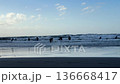 Group of surfers in wetsuits wading into the sea with boards, facing breaking waves on a sandy beach. Wet shoreline reflects sky, ideal for travel, sport, and outdoor lifestyle. 136668417