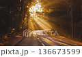 Golden Forest Highway with Warm Sunlight and Autumn Trees 136673599