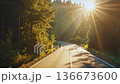 High definition point of view shot of a winding asphalt road through a misty forest.  136673600