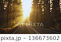 Cinematic Forest Road POV Drive with Intense Golden Sunbeams and Mist 136673602