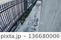 Bearded Man Wearing Casual Clothing Walks Along Cleared Pathway 136680006
