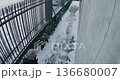 Delivery Courier Walks Along Freshly Cleared Winter Pathway Carrying Large Yellow Thermal Backpack 136680007