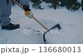 Pushing Wide Snow Shovel Across Paved Ground, Clearing Thick Layer of Fresh Snow. 136680013