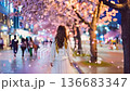 A woman walking along cherry blossoms 136683347