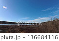 Time lapse of clouds moving across a blue sky, Burnaby Lake, British Columbia, Canada 136684116