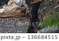 落葉を拾い集める男性 136684515