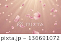櫻花飄落的抽象背景，閃爍著光芒 136691072