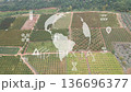 Aerial Farmland With Globe And Scientific Icons, Carbon And Genetics Symbols, Lab Perspective 136696377