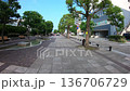 [Kanagawa] Yokosuka Mikasa Park sidewalk time lapse video 136706729