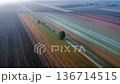 Aerial sunrise view of patchwork farmland with a country road and scattered trees in light morning mist 136714515