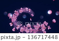 夜晚櫻花翩翩起舞，宛如仙境一般。 136717448