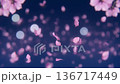 夜晚櫻花飄落的抽象背景 136717449