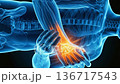 3DCG visualization of wrist pain and inflammation. Explanation of the mechanisms of tendonitis and sprains (for vertical video) 136717543