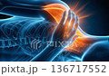 3DCG visualization of stiff shoulders and neck inflammation. Explanation of the mechanism behind severe pain and stiffness (for vertical video) 136717552