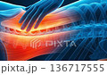 3DCG visualization of inflammation and severe pain in the lower back muscles. Explanation of erector spinae problems (for vertical video) 136717555