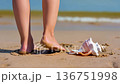Bare feet on a sandy beach next to a large seashell 136751998