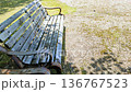 A rusty bench in a depopulated park 136767523