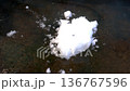 氷の上の白い雪 136767596