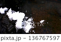 氷の上で溶けていく雪 136767597