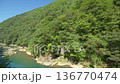 緑豊かな抱返り渓谷の風景 136770474