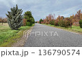 Empty Asphalt Road Flanked By Evergreens, Overcast Sky And Burnt Orange Foliage, Gravel Shoulder And Roadside 136790574