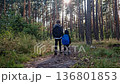 Two brothers, an older and a younger, holding hands in the park. Two young children, an older boy and a younger boy, are walking in park. children walk forward along forest road. 136801853