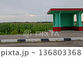 Car Window Side View Corn Field Farm Agriculture. Rural Country Scene. Bus stop in rural area. corn field in the evening, view from the side window of a car 136803368