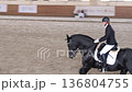 Female rider training black horse in indoor arena 4K 136804755