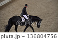 Rider training black horse in indoor arena daytime 4K 136804756