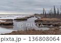 Frozen Tundra Marshlands With Leafless Trees Under A Cloudy Sky. 136808064