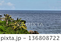 Open ocean horizon with palm trees and rocky coastline in the foreground. Siargao, Philippines. 136808722