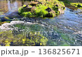 Clear flowing river and splashing water on rocks 136825671