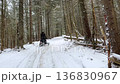 Person riding snowmobile through snowy forest trail surrounded by tall pine trees during winter adventure in wilderness area 136830967