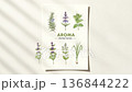 Videos showcasing popular herbs such as rosemary, clary sage, and mint 136844222