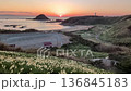 (Shizuoka Prefecture) Time lapse of dawn and sunrise at Tsumekizaki in Minamiizu 136845183