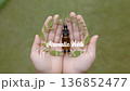Bottle of essential oil and lots of herbs in the palm of your hand 136852477