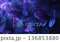Blue Butterflies Flying Through Magical Smoke In Dreamy Dark Space 136853880