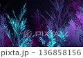 Glowing Neon Fantasy Plants Growing In Dark Magical Forest Environment 136858156
