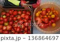 Fresh tomatoes from local market displayed in two containers with different varieties and colors 136864697