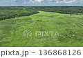 Drone view of countryside. Fields and forests in summer.  136868126