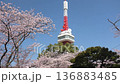 宇都宮塔和八幡山公園的櫻花（固定相機）（栃木縣宇都宮市，4月拍攝） 136883485