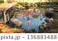 宇都宮塔和八幡山公園的櫻花（傾斜）（栃木縣宇都宮市，4月） 136883488